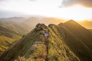 Nature image 2